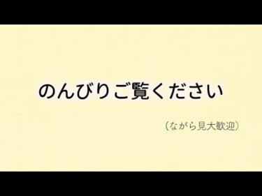 【総集編】ドッグトレーナーエマ先生とコラボ動画 全8本まとめて公開！のんびり2時間配信