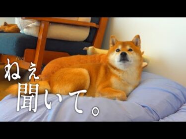 母が泊まりにきた夜、不思議な現象が親子同時に起きました。