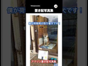置き配写真集｜PECO