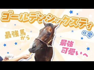 【ギャップ萌え】ゴールデンシックスティ、いまはクッキー大好き“癒しキャラ”に！？ 最強馬が“最強可愛い”へ！