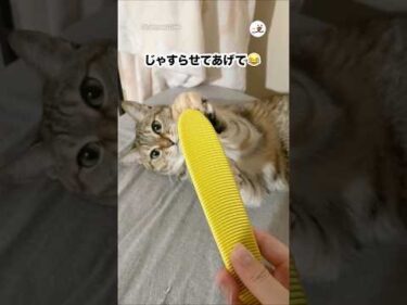 友達から素敵な贈り物をもらって✨｜PECO