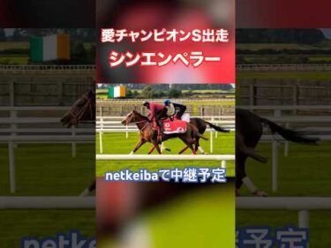 アイリッシュチャンピオンステークスに挑むシンエンペラー 追い切り映像 #shorts #horse #競馬