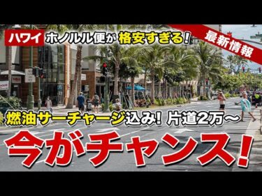 【ハワイ】ホノルル航空券がさらに格安！ZIPAIRタイムセールを見逃すな！【ハワイ最新情報】【ハワイの今】