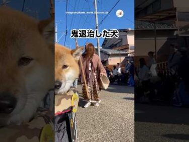 鬼を倒した犬｜PECO