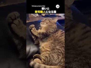 フミフミじゃないの？？｜PECO