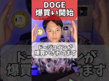 ドージコイン(DOGE) 爆買い開始です