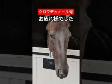 凱旋門賞前哨戦勝利のクロワデュノール #shorts #horse #競馬 #凱旋門賞