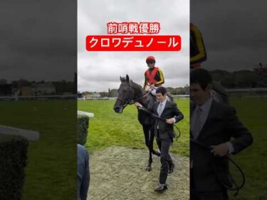クロワデュノールが凱旋門賞前哨戦を勝利！ #shorts #競馬 #horse #凱旋門賞