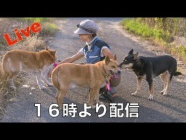 【ライブ】再配信