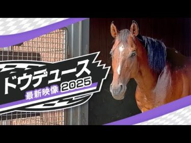 ドウデュースの最新映像を公開！社台スタリオンSで種牡馬となったドウデュースの現在