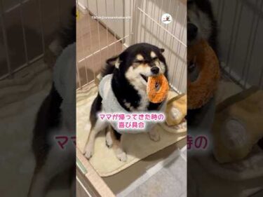 喜びと、ちょっと怒り爆発｜PECO