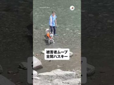大げさすぎる助けてアピール｜PECO