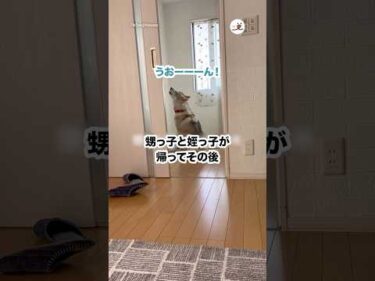 背中が物語っている｜PECO