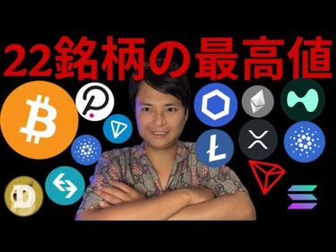 【重要】仮想通貨22銘柄 2025年最高値を分析した