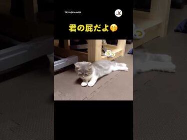 出どころは君だよ🤭｜PECO
