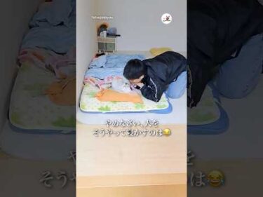 お母さんのセリフ全部好き😂｜PECO