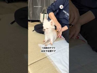 お灸が気持ちいいんです☺️｜PECO
