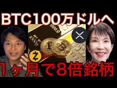 ビットコイン100万ドル(1.5億円)は高市早苗と金が鍵？1か月8倍の仮想通貨は買い？
