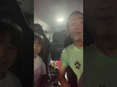 ライブ ハイライト