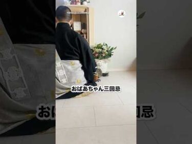 猫さん、気になる｜PECO