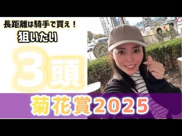 【菊花賞2025】雨で混戦必須！近年傾向から見えた結論！