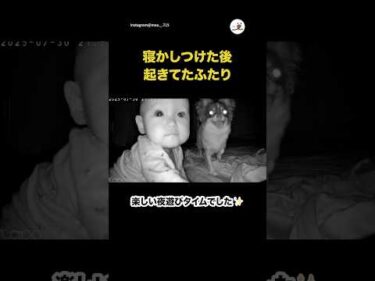 内緒の夜遊びタイム｜PECO