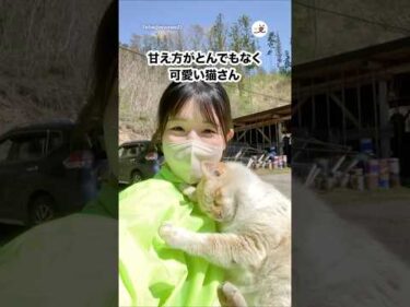 好きがみなぎって可愛い｜PECO