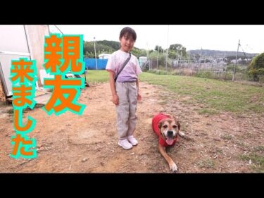 【骨肉腫と戦う】心優ちゃんと再会！一緒に血液検査に行きました