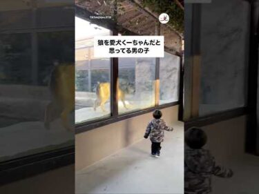 愛犬くーちゃんの正体は…｜PECO
