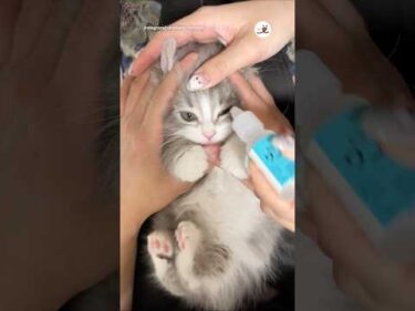 目薬をされた腹いせに…｜PECO