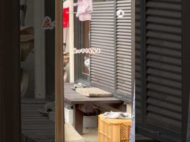 嫌われて辛い😭でも、好き！｜PECO