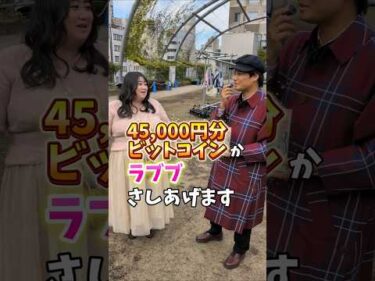 ビットコインかラブブか、えみっくすは何を選ぶ？