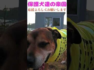悔いなきように１分１秒を大切に生きよう！　#成行に任せる #骨肉腫 #断脚手術 #今を生きる