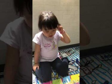 最強の秋田犬 大吉 #保護犬 #大型犬のいる生活 #秋田犬