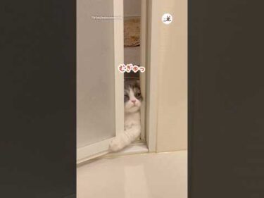 長風呂の主さんを待ちきれなくて…｜PECO