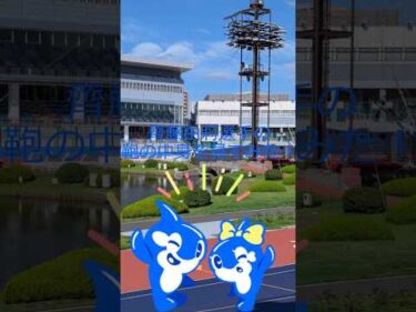 齊藤由莉選手の鞄の中身チェック！！　#shorts