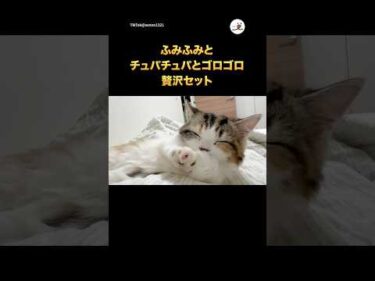 イヤホンで聞いてみな。飛ぶよ…｜PECO