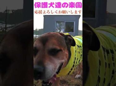 【選曲間違いで再度配信　概要欄チエック】　悔いなきように１分１秒を大切に生きよう！　#成行に任せる #骨肉腫 #断脚手術 #今を生きる #あるがままになさい