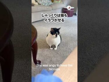 しゃっくりって地味にイラつくよね｜PECO