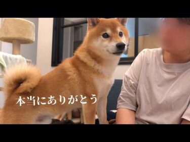 悲しみと絶望の淵でこの子たちに救われました。
