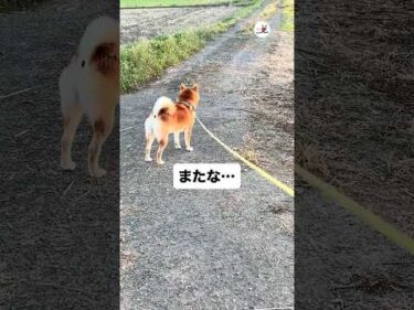 また会えるよ☺️｜PECO