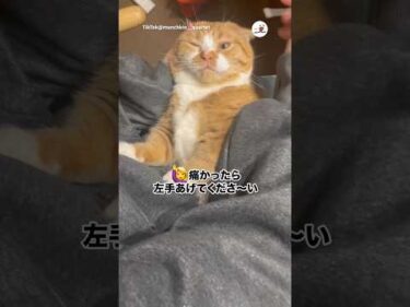 痛かったら手を上げてください｜PECO