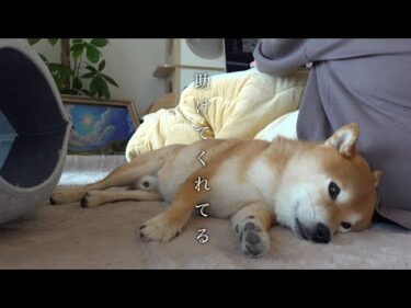 助けてくれてありがとね。
