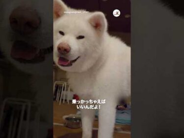 ママにチクってやる！｜PECO