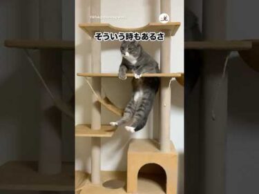諦めることも大事なのだ｜PECO