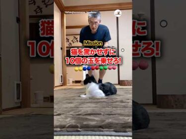 ミッション失敗！！｜PECO