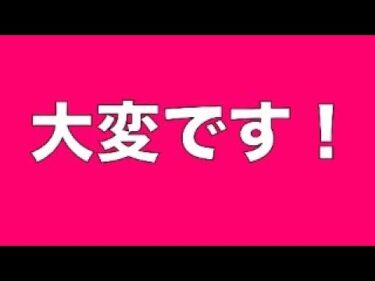 【緊急事態】野犬タキちゃんまだ見つかってないみたいです