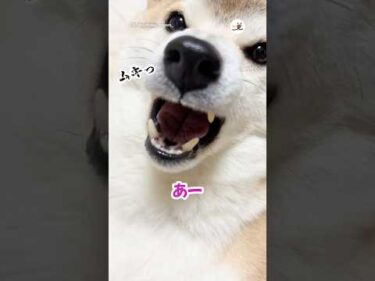 歯磨き後のお口の中チェック