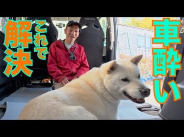 【脱糞・嘔吐】犬が車に酔う！実践リハビリトレーニングで解決