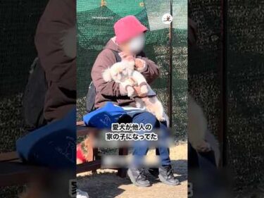 ドッグランに行ったら他人の家の子になってた｜PECO